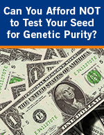 Can You Afford NOT to Test Your Seed for Genetic Purity?