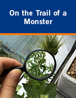 On the Trail of a Monster