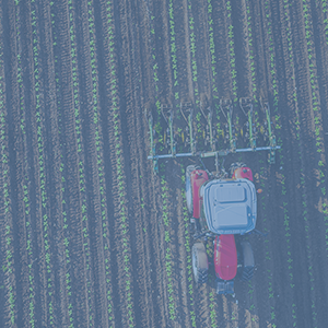 Grain and Agriculture