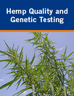 Hemp Quality and Genetic Testing