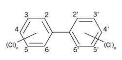 PCB Congener Structure