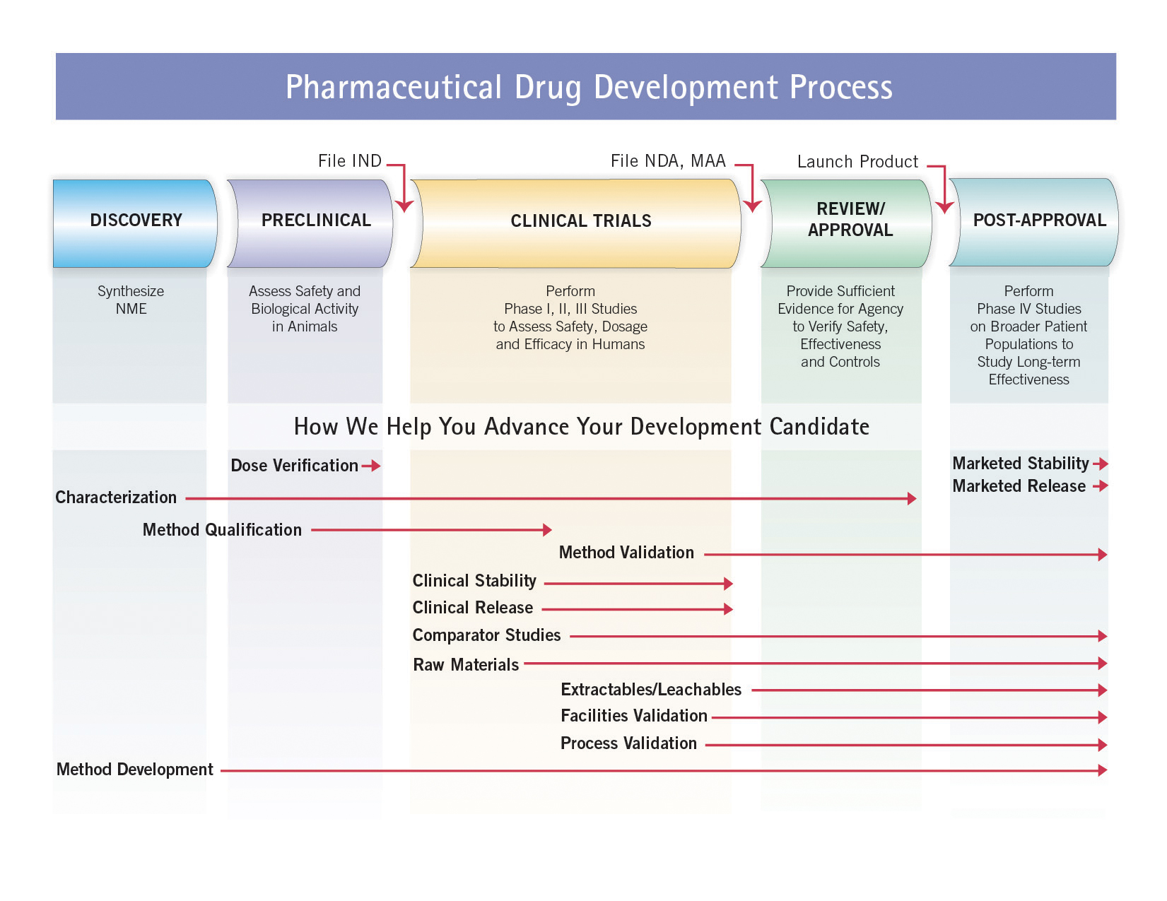 Pharmaceutical Drug Development Process