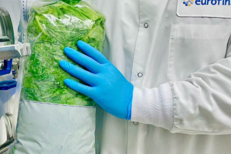 Testing Lettuce at 1500g