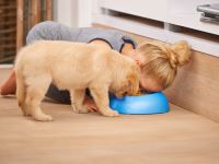Pet food label claims