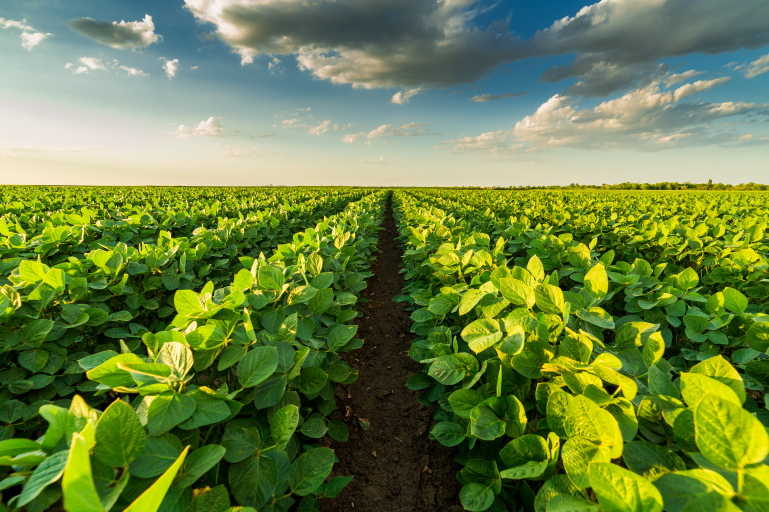 FDA Detention Testing Services