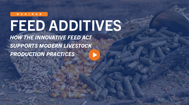Download Webinar