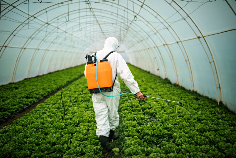 Contaminant Testing Services