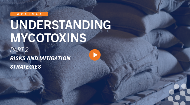 Watch Webinar On-Demand