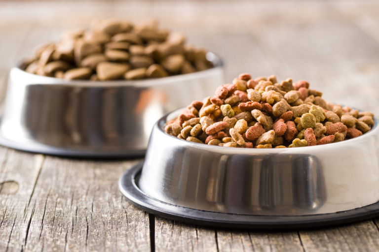 HOT TOPIC: Pet Food Label Modernization