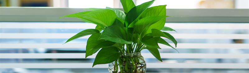 Eurofins Expert Services