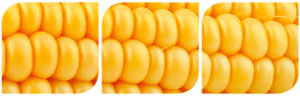 Sidebar Image