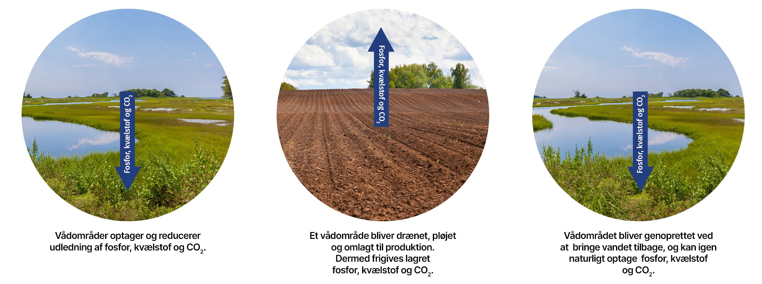 Vådområder og BD udrystning