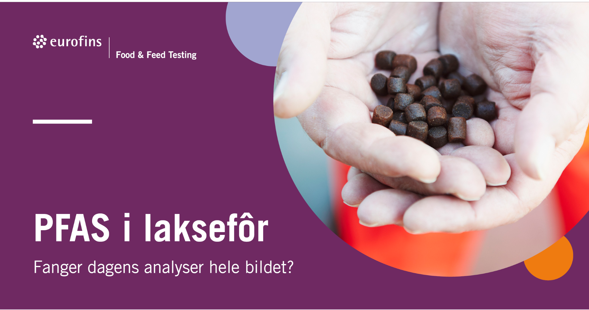 PFAS i laksefôr