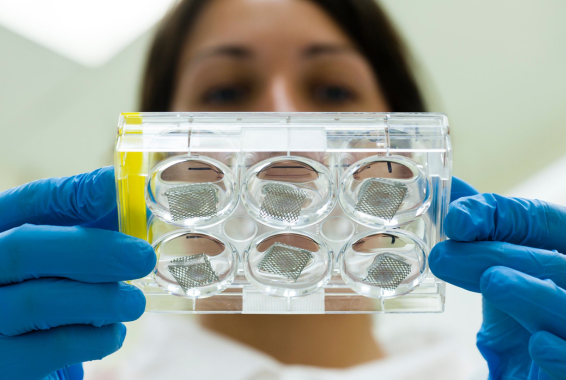 Photo-vieillissement