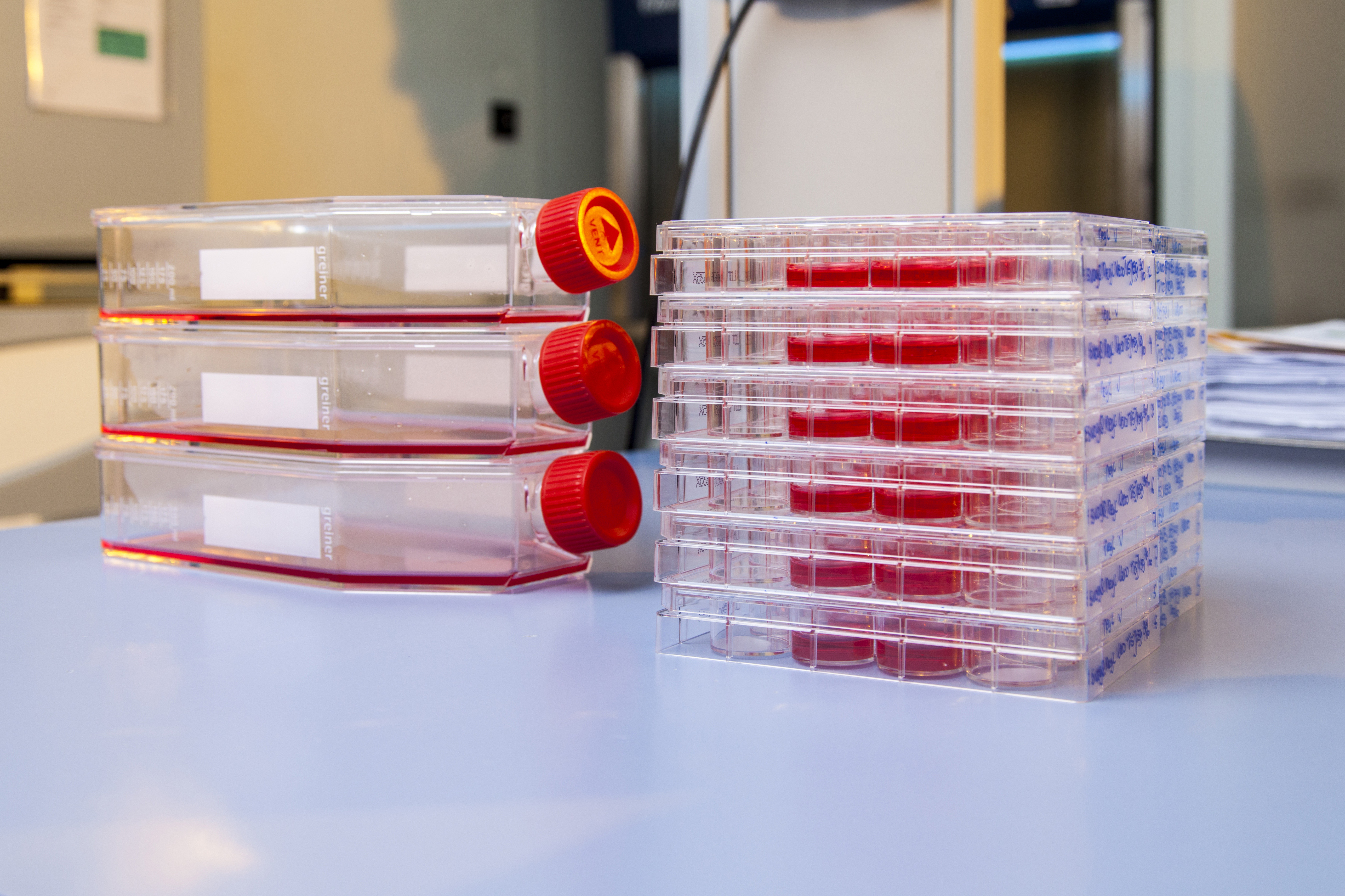 Cell Banks Eurofins BioPharma Product Testing NL Eurofins Scientific