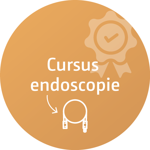 Cursus endoscopie