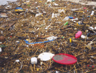 Déchets