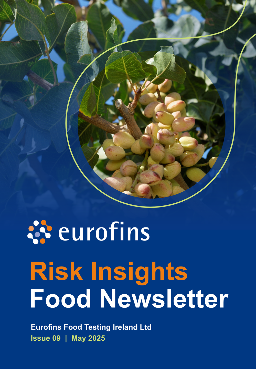 Risk Insights Newsletter Issue 9