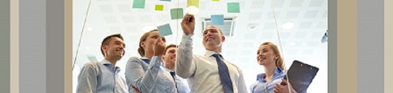 Assesment and Development Services